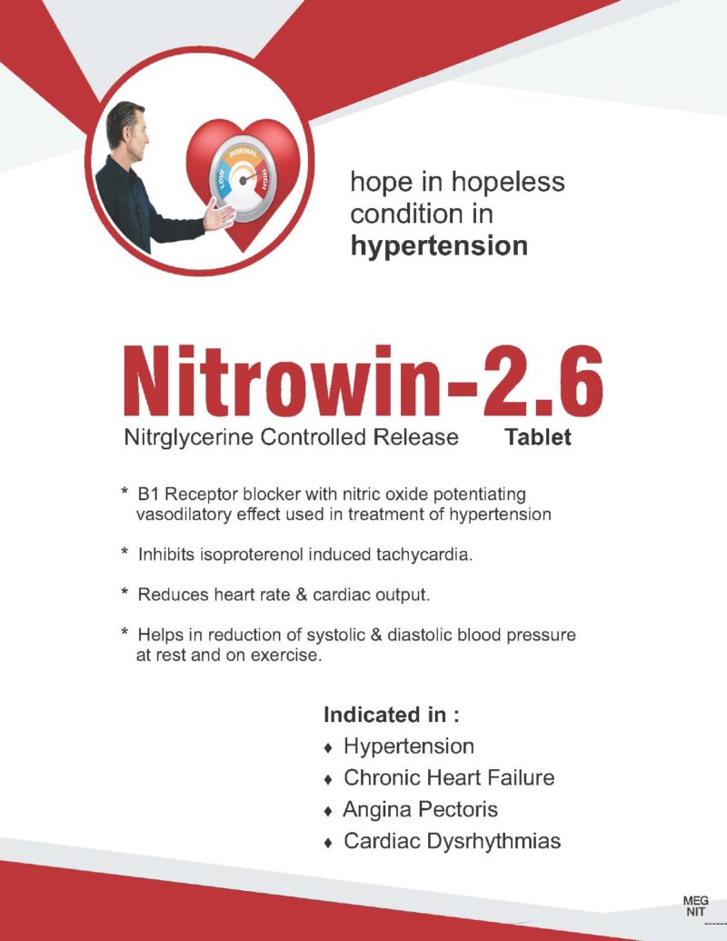 nitrowin 2.6